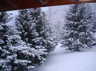 Garden chalet Andorra